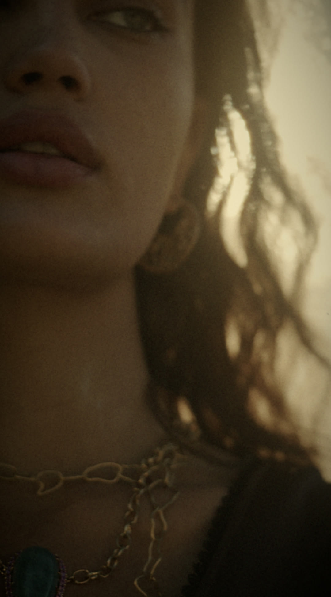 Light, Through Leaves — Eli Samuel photography
