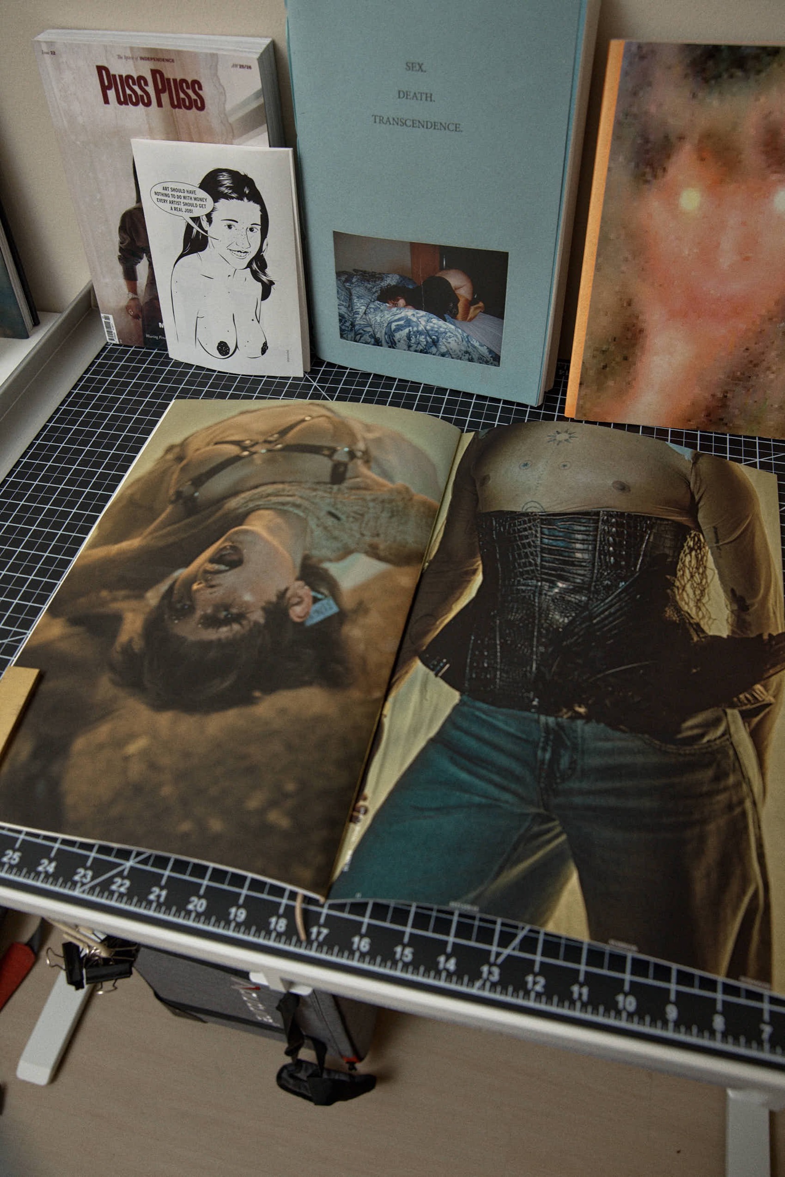 Open book spread, harness portrait and leather corset detail