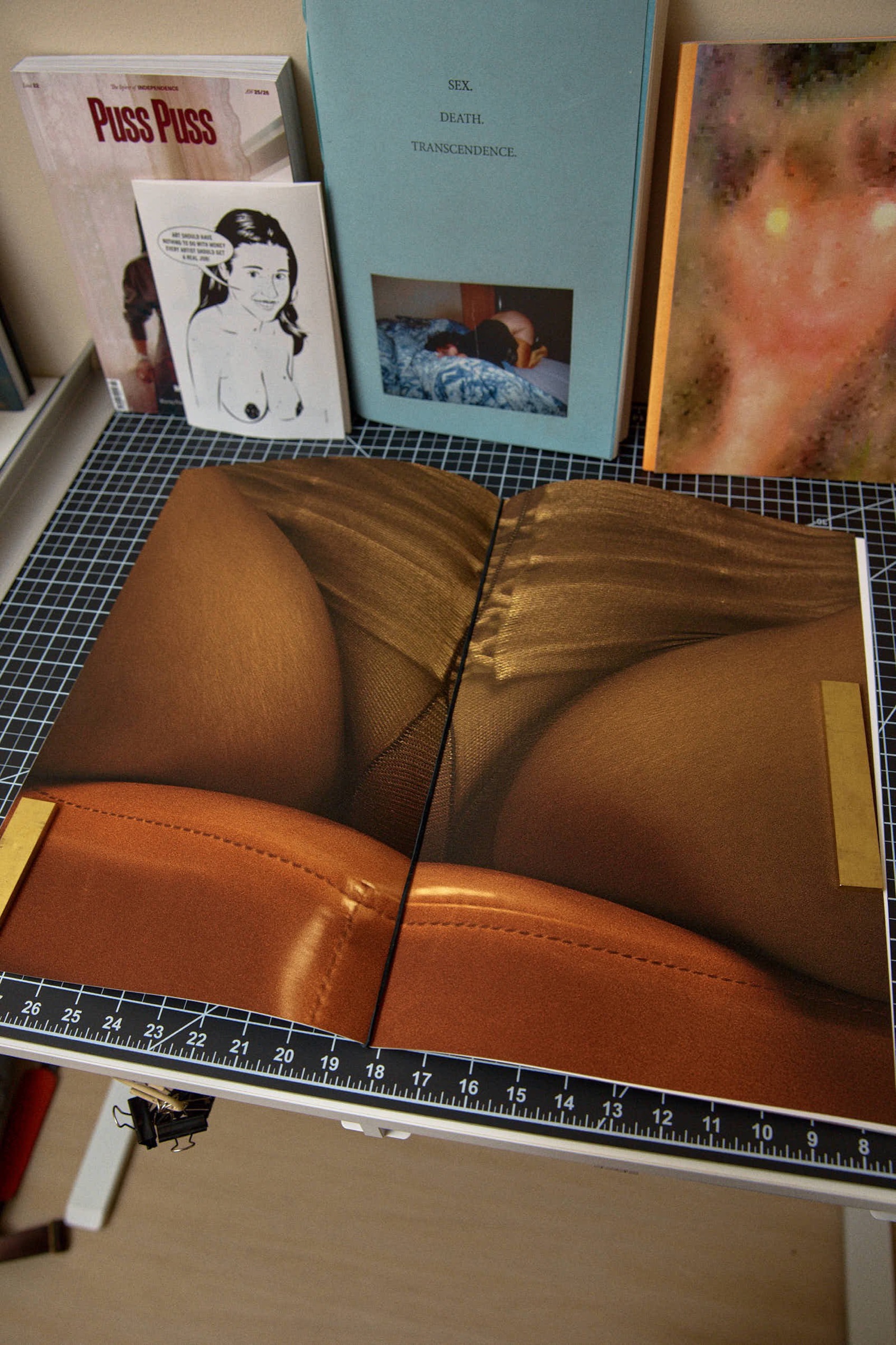 Open book spread, close-up of sheer fabric and leather