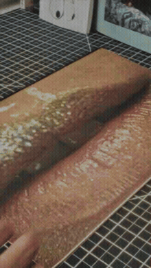 disarming texture — flip-through loop