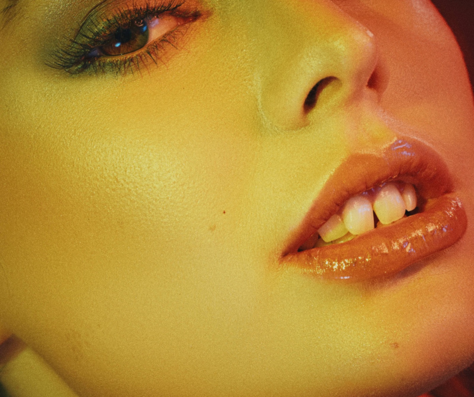 Close Crop, Warm Light (Eli Samuel photography)