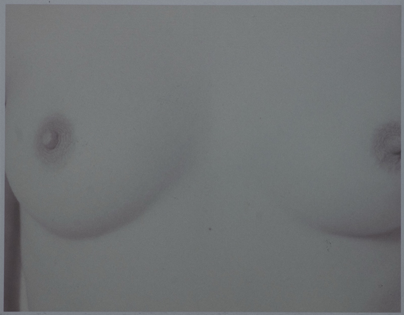 Model Sass Kia in a nude study, close crop across the torso in soft studio light, Bondi Beach studio, Sydney, August 2019, photographed by Eli Samuel on a Phase One IQ3 Trichromatic, printed on paper and rephotographed. Sass Kia on Instagram at @sasskiapoetry.